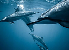 星空体育app-香港小将黄泽林美网创历史